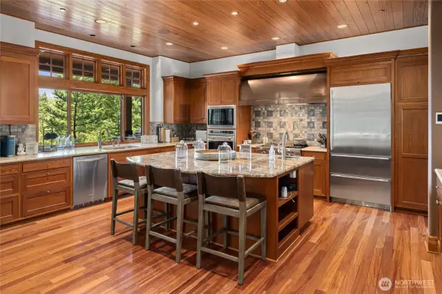 Chef's kitchen with high end appliances