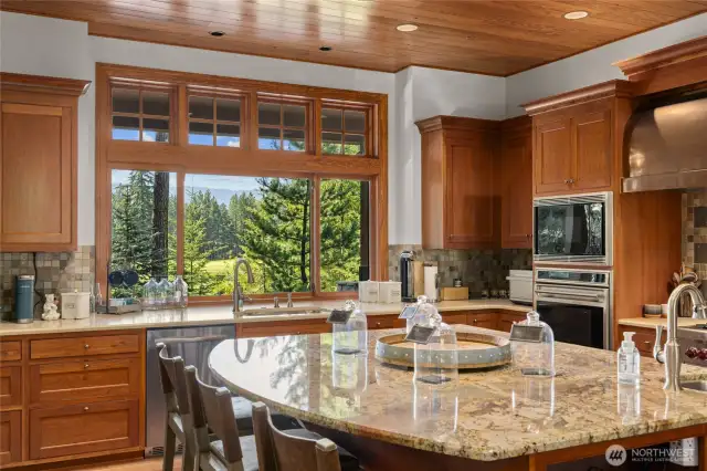 Kitchen area with views out the back!