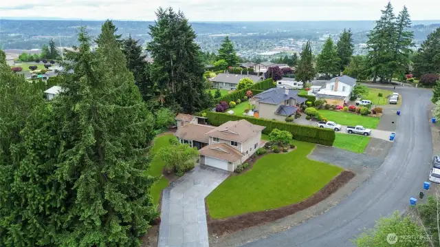 ~Arial View~
