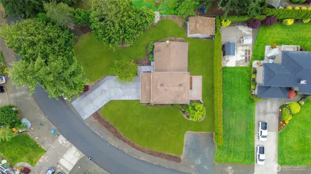 ~Arial View~