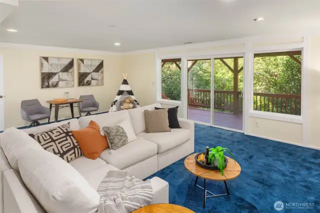 Lower Level Bonus Room with access to back deck