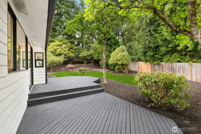 Back deck