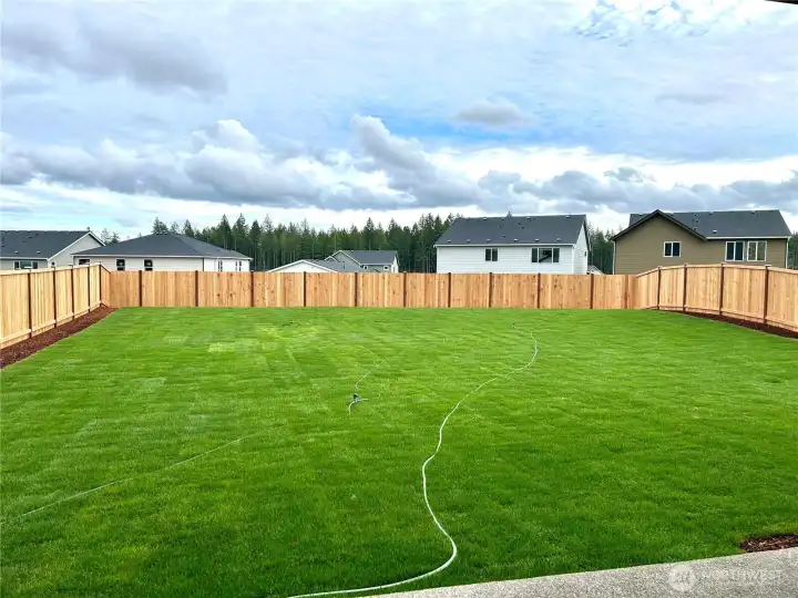 Actual HUGE backyard, come see this home today!