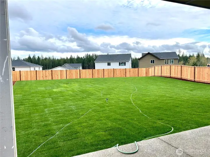 Actual backyard