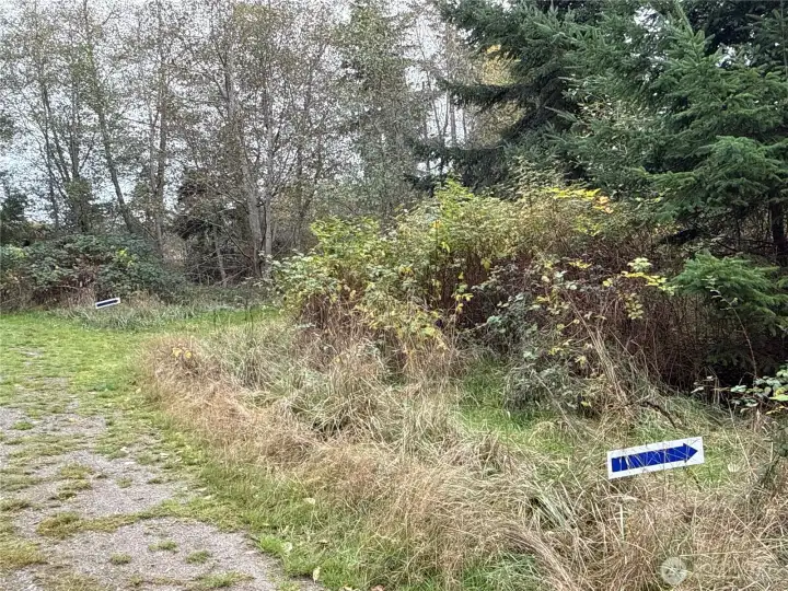 Follow blue arrows to primary build site