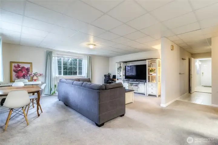 Lower Level Living Room