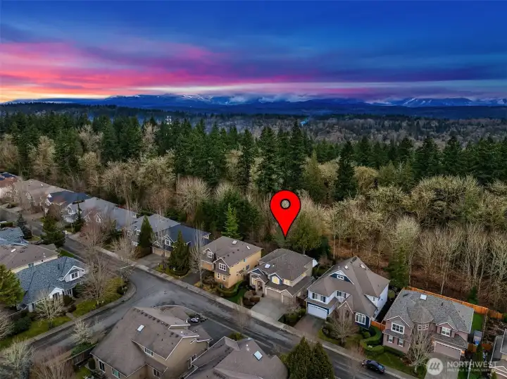 Located within the highly acclaimed Issaquah School District and minutes to coveted Cascade Ridge Elementary. Easy access to I-90, Microsoft, Amazon, outdoor adventures, and premier shopping make this home the ideal choice for those seeking convenience and tranquility. A one-owner home, thoughtfully maintained and pre-inspected for added confidence.
