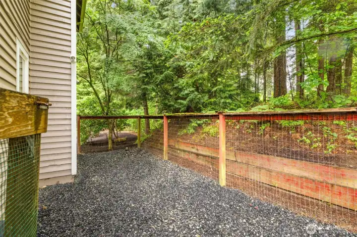 Dog run on the side of the house