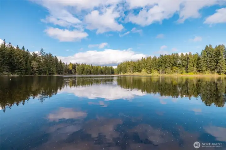 Yellow Lake trail has 1.25 trails for residents to walk, plus access to a dock to watch the ducks