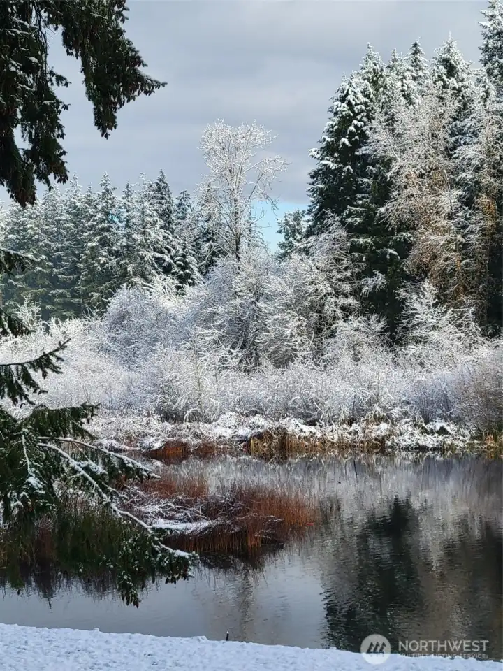 Winter photo of beautiful cove.