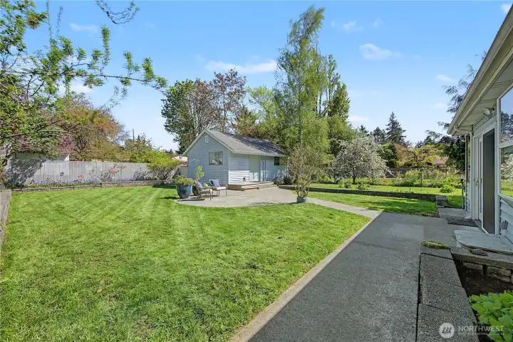 Backyard