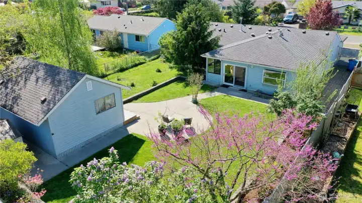Aerial view of backyard.