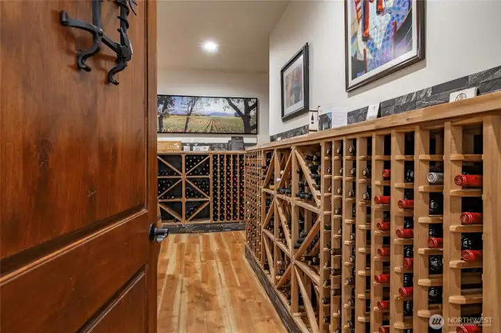 Incredible cellar for wine collection