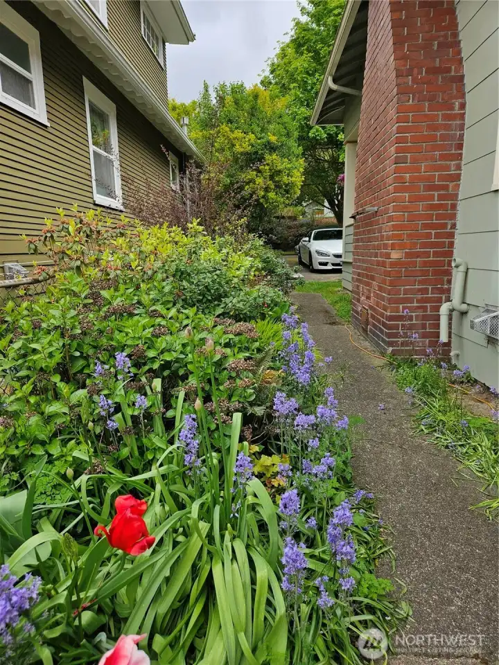 Back side walkway