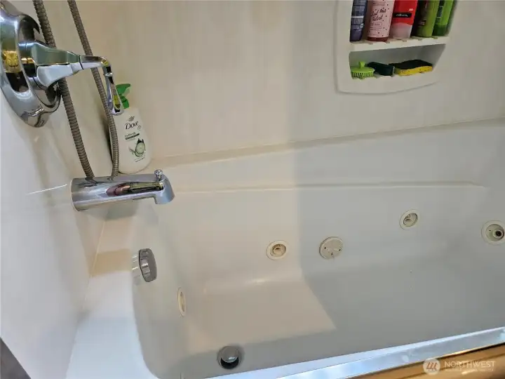 Jetted tub with easy access to mechanics
