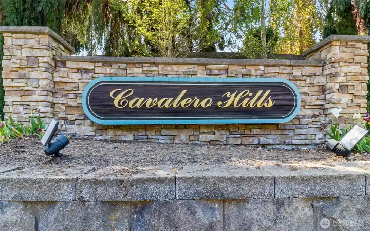 Part of the Cavalero Hills community with access to 3 beaches!