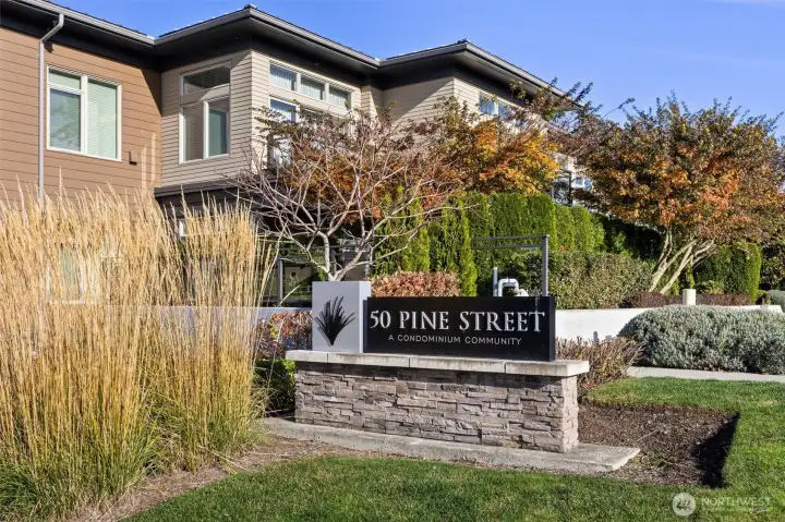 Welcome home to 50 Pine! Welcome home to 50 Pine!