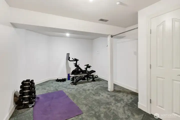 Downstairs a bonus room currently being used as a gym Downstairs a bonus room currently being used as a gym