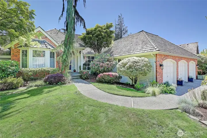 Beautiful Buchan Rambler in Waterford Park