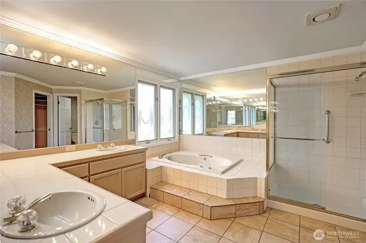 5-piece primary bath featuring a sunken tub
