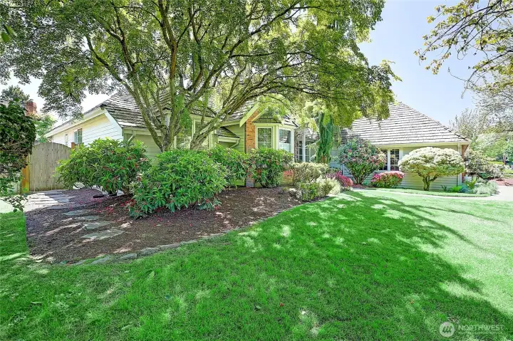 Front yard features unique trees, color changing maples