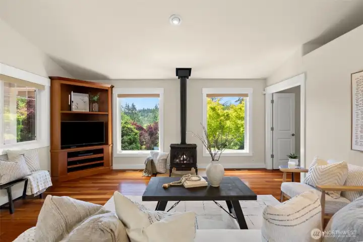Great room features built in for TV and media equipment and gas propane fireplace.