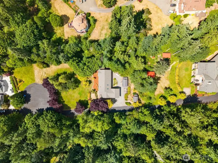 Aerial view of the home and cul de sac