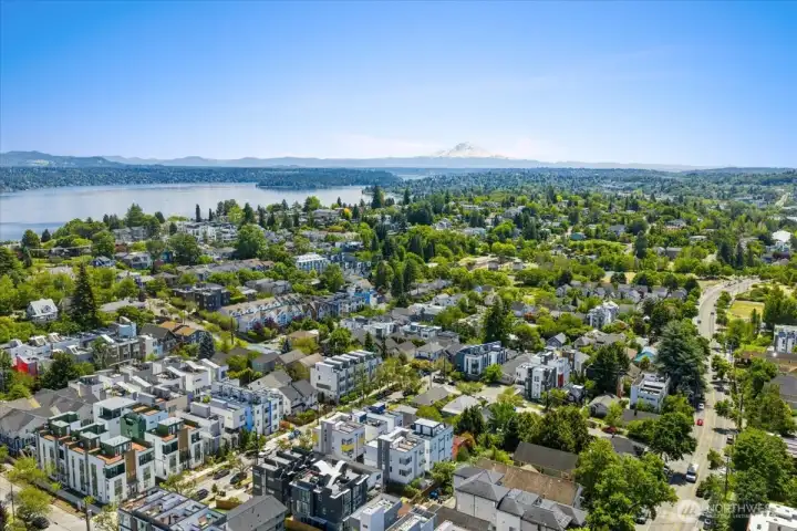 Looking East from above the home you can see Seward Park,  View NOT visible from the property (drone)