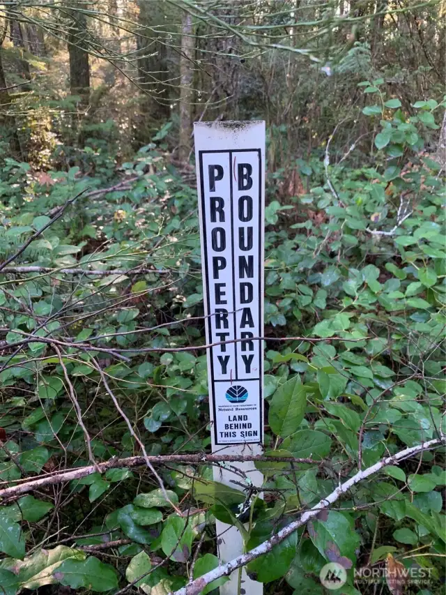 Property is adjacent to Tahuya State Forest.