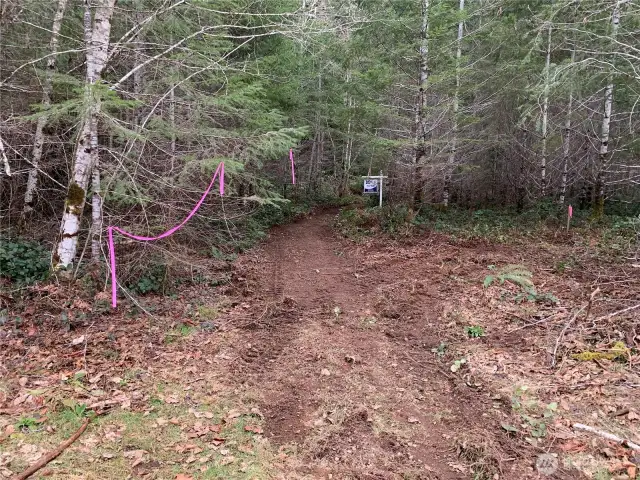The beginning of the easement to get to Lot 1.