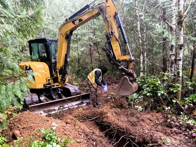 Geologist taking soil samples for analysis.