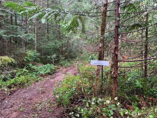This is the drainfield area for Lot 1