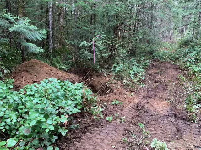 Septic Reserve area towards SW corner.