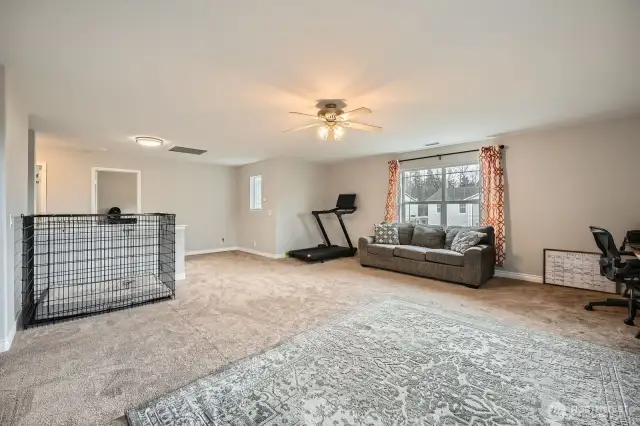 Bonus room