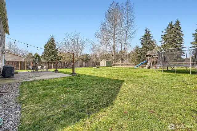 Backyard
