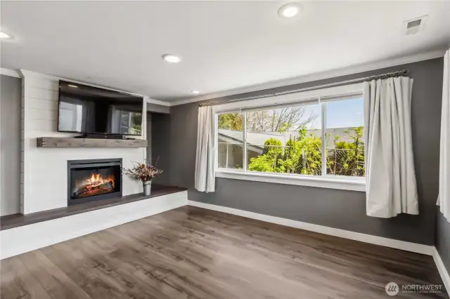 Electric Fireplace