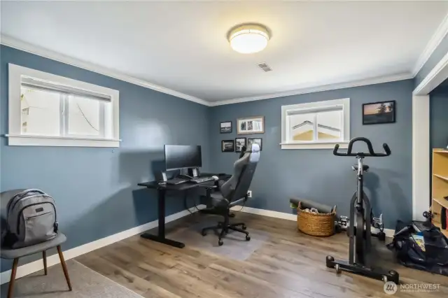 Downstairs Bedroom/Office Space