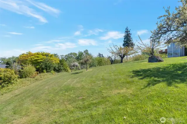 Adjacent buildable lot with separate tax parcel