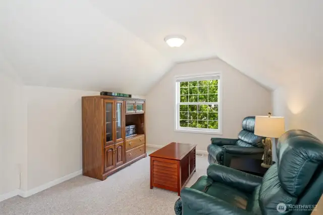 Another picture of the guest/2nd primary bedroom or bonus area. Living at its finest
