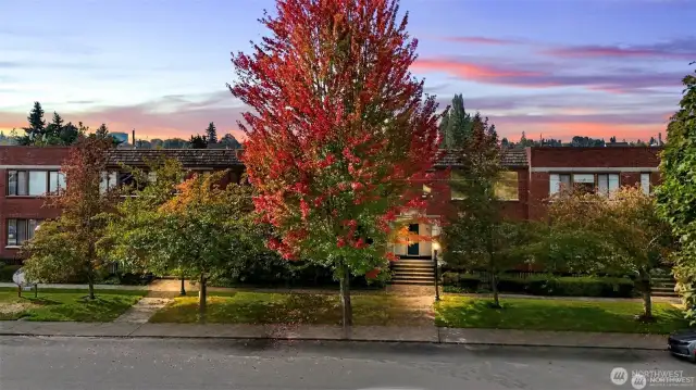 Gorgeous, quiet tree-lined street.
