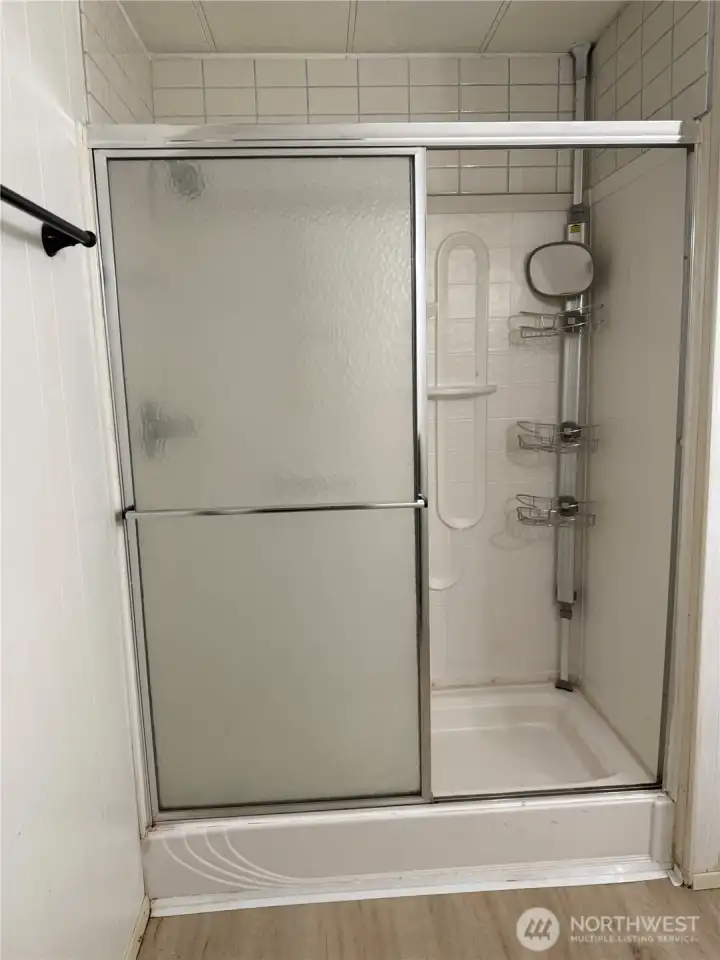 Main bath shower