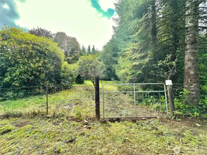 Back yard, fenced.