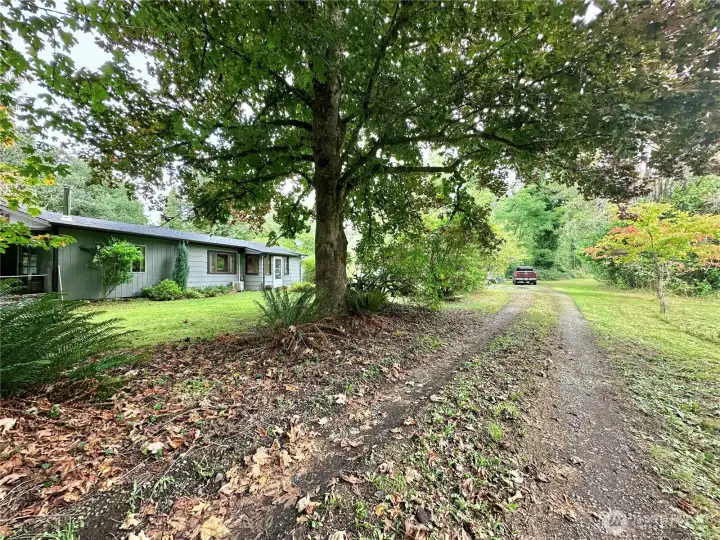 Driveway