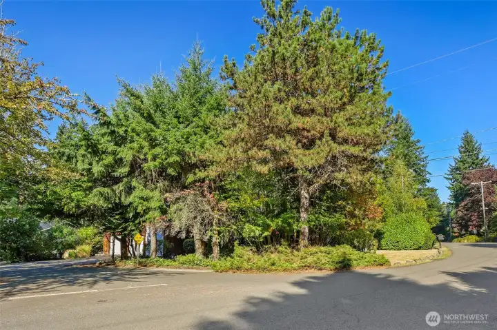 Nice corner lot with the driveway coming off of a quiet dead-end street.