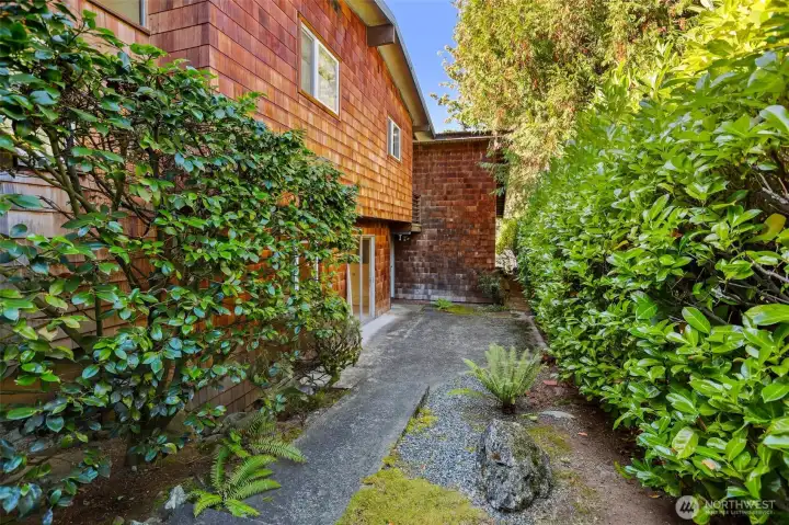 Outdoor space in back of the house.