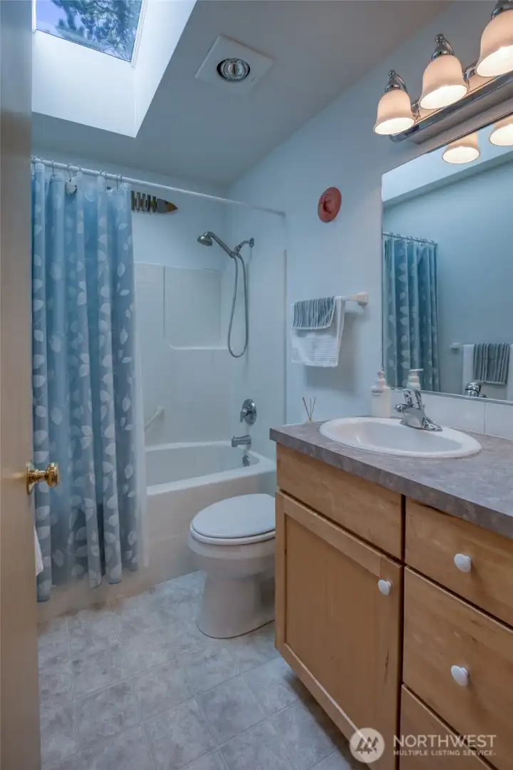 Full bath with skylight
