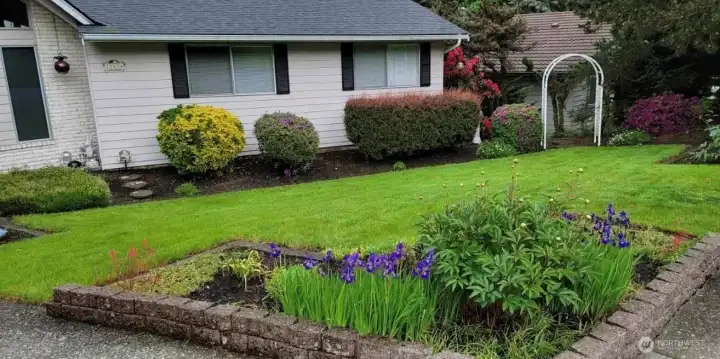 Those iris and peonies will be blooming soon!