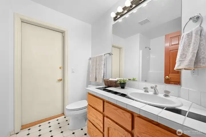 Lower level full bath