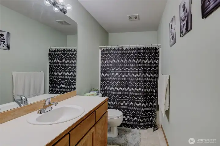 The ample gues bathroom.
