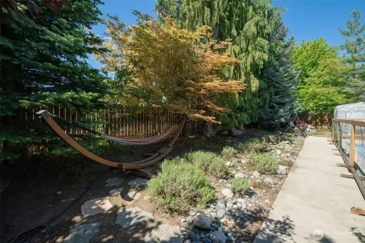 Additional garden space with established trees.